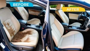 Remove Pet Hair, Coffee Stains & Odors from Your Car’s Interior